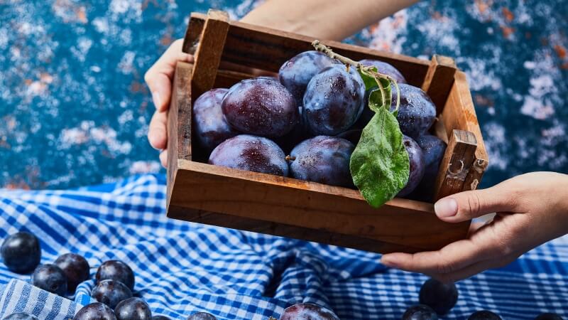 Dojrzałe śliwki w drewnianej skrzynce