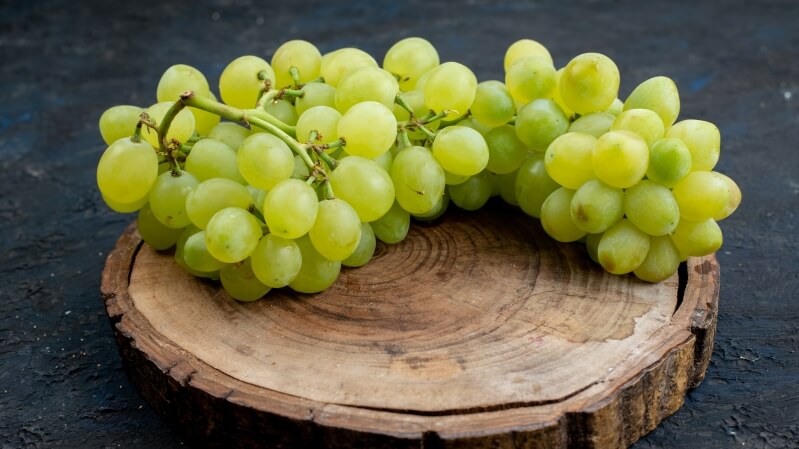 Kiść dojrzałych winogron na tle winorośli