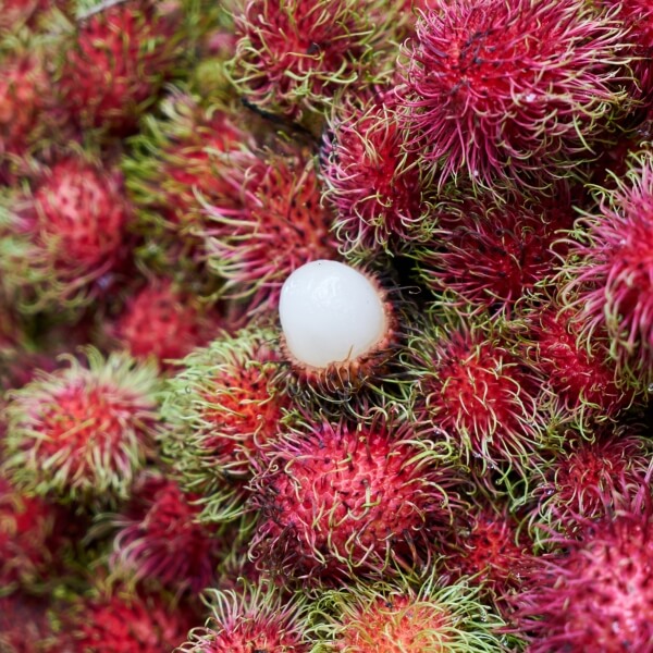 Rambutan - owoc egzotyczny